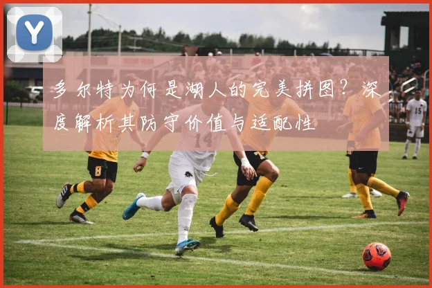 多尔特为何是湖人的完美拼图？深度解析其防守价值与适配性