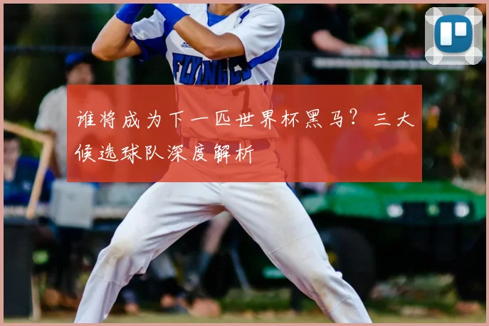 谁将成为下一匹世界杯黑马?三大候选球队深度解析