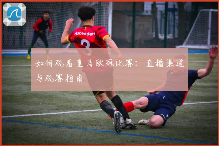如何观看皇马欧冠比赛:直播渠道与观赛指南